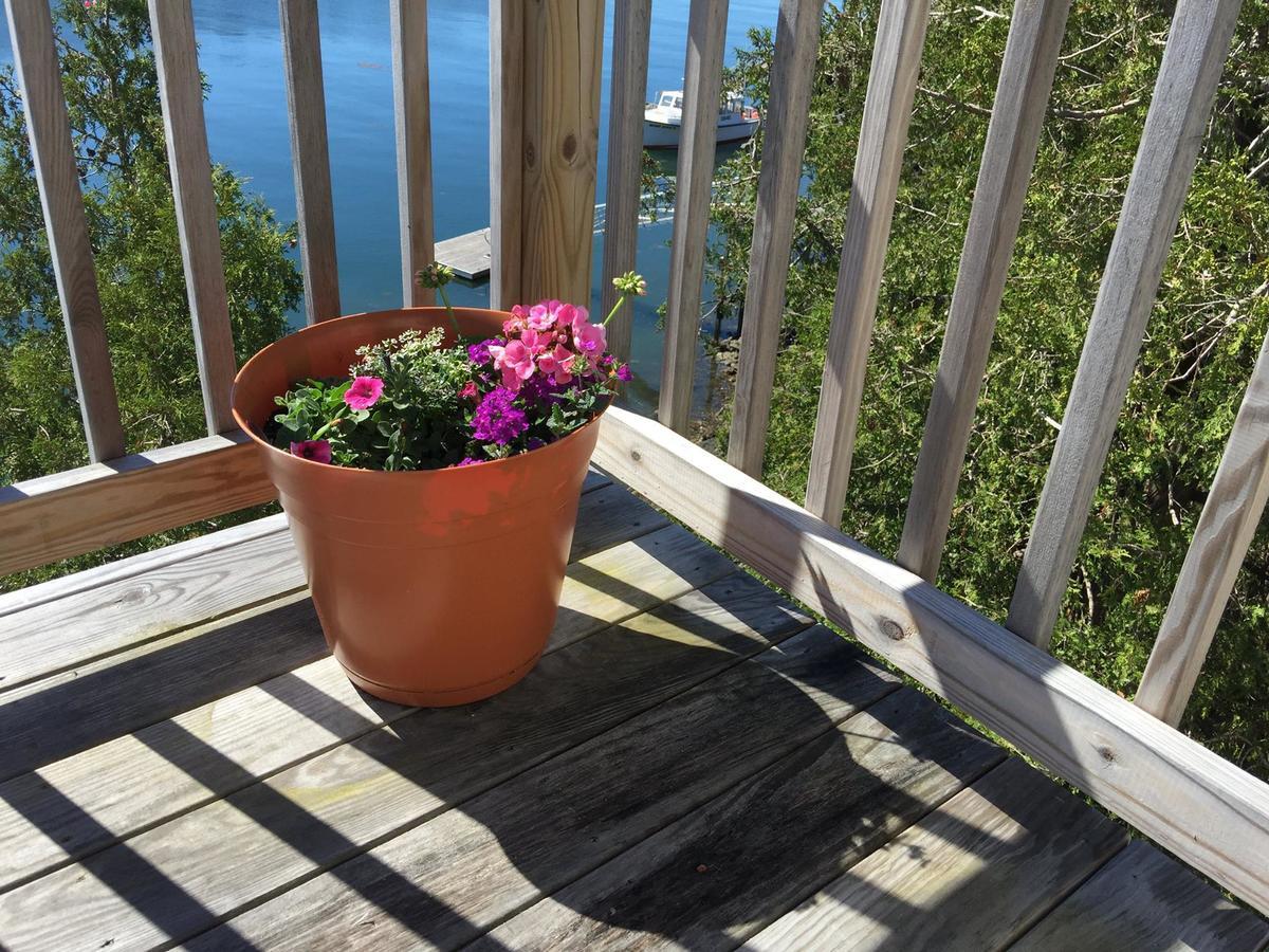 Quahog Bay Inn Harpswell Екстериор снимка